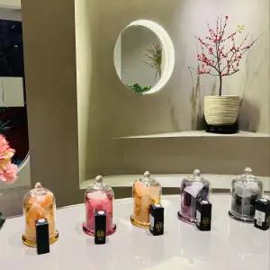 诗雅康头疗采耳芳香SPA