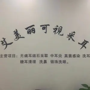 艾美丽可视采耳（邢台店）