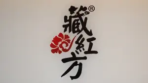 藏红方艾灸养生馆的logo