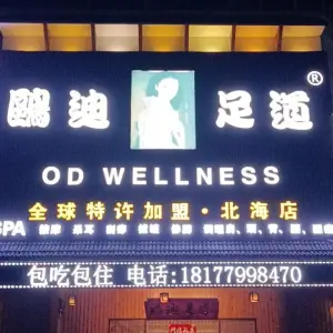 鷗迪足道全球连锁（海城店）的logo