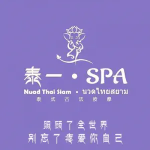 泰一·SPA 泰式古法按摩（富力万达店） title=