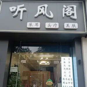 听风阁的logo