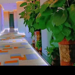 金禾盛海影院式足道 title=