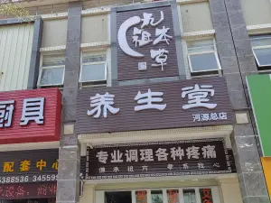 九祖本草养生堂（新华路店）