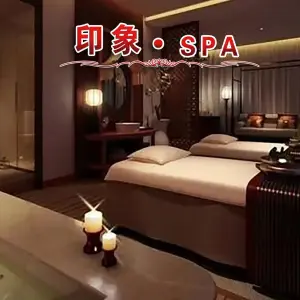 印象轻奢SPA养生的logo