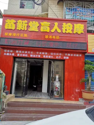 苗新堂盲人按摩的logo