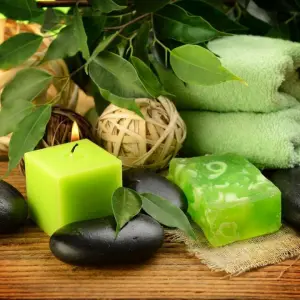 尚澜·spa养生馆的logo