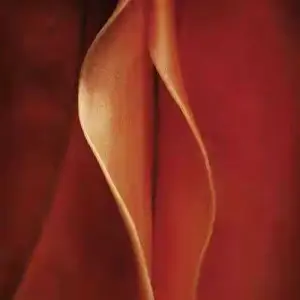 一城山水风俗SPA·深度邂逅·SPA养生会所 title=