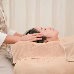 慕荷沉香灸·经络·整脊