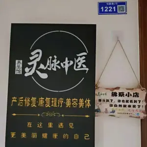 灵脉中医养生馆 title=