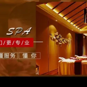 月见SPA title=