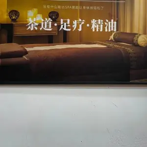 樱花韵主题SPA title=