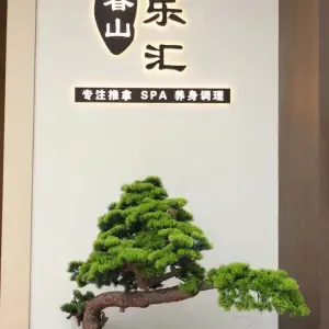 春山雅乐汇·养身SPA title=