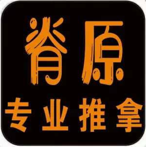 脊原推拿按摩养生馆（盛世嘉园店）的logo