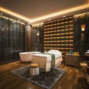 TASIA SPA·泰古水疗（喜来登店）的logo