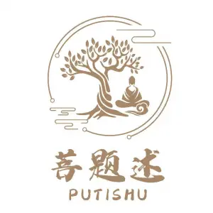 菩题述养生馆的logo
