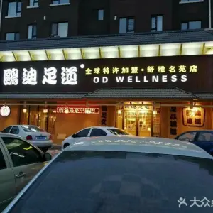 鸥迪足道（舒雅名苑店）的logo