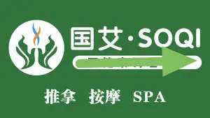 国艾·SOQI亚健康调理中心的logo