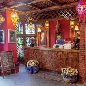 泰古·草本养生（金瓯店）的logo