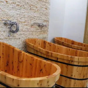 草堂沐桶汤浴的logo