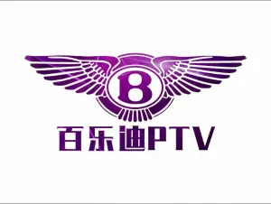 百乐迪量贩式PTV