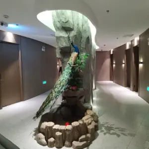 言尚足浴（百菊时代华庭店） title=