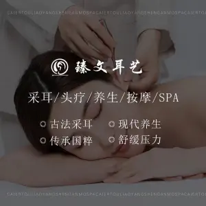臻文耳艺专业采耳（金域缇香店）的logo