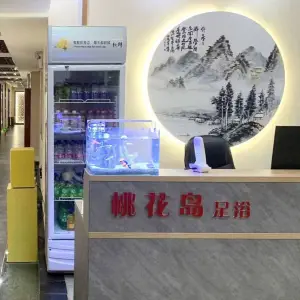 桃花岛足浴的logo