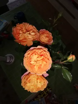 养坤堂盲人按摩店 title=