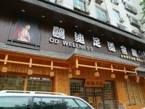 鸥迪足道（高新区店）的logo