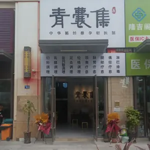 青囊集养生馆的logo