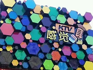 感觉量贩式KTV title=