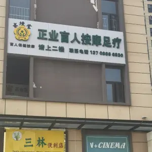 善境堂正业盲人按摩足疗的logo