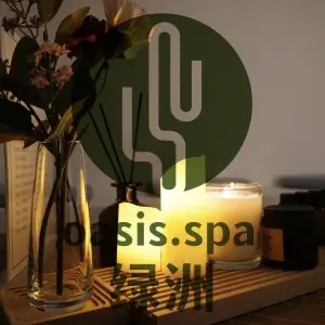 绿洲Oasis·spa按摩的logo