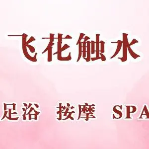 飞花触水足浴按摩SPA title=