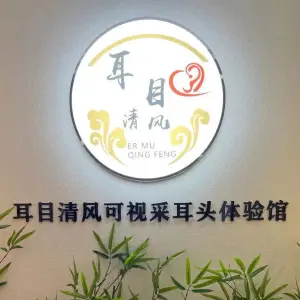 耳目清风可视采耳的logo