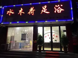 水木荷足浴 title=