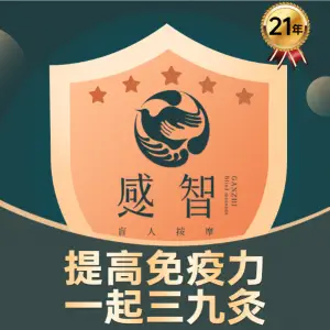 感智推拿世家（固戍店）的logo