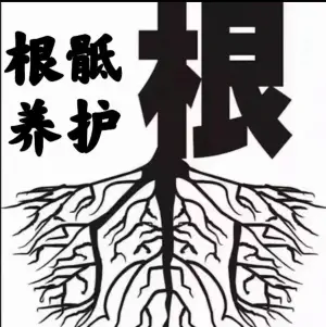 沐芸坊推拿养生馆的logo