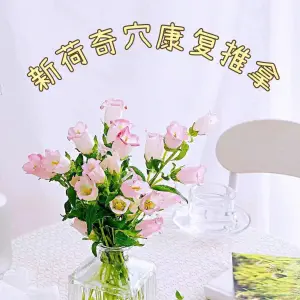 新荷奇穴康复龙泽中医养生馆的logo