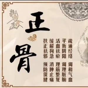 苑氏正骨推拿馆的logo