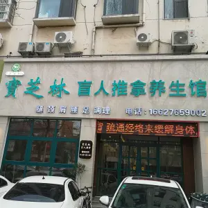 寶芝林盲人推拿养生馆 title=