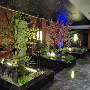 金缔SPA养生会所 title=