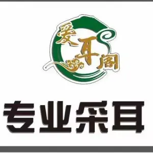 爱耳阁专业采耳的logo