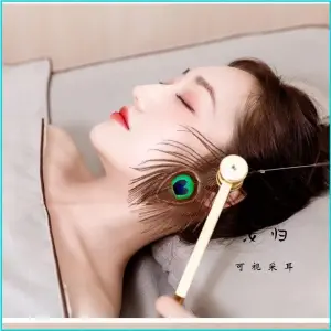 汝归可视采耳 title=