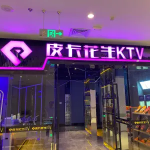 皮卡花生KTV（巍山新天地店） title=