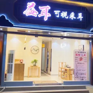 益耳可视采耳（红星西路店） title=