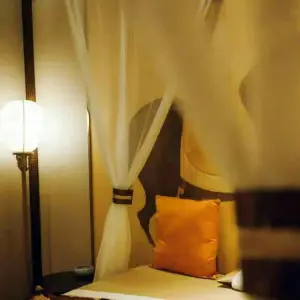 楼月SPA按摩的logo