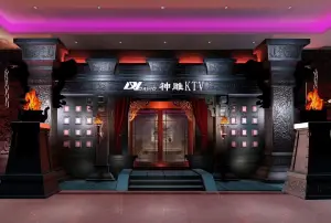 戴维神雕KTV（南站店）