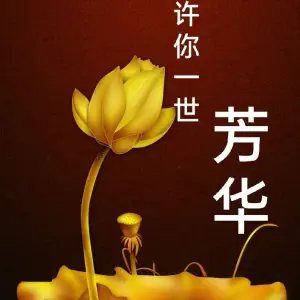 芳华指压SPA会所的logo